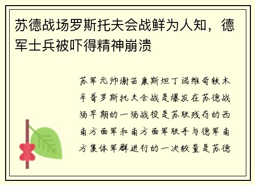 苏德战场罗斯托夫会战鲜为人知，德军士兵被吓得精神崩溃